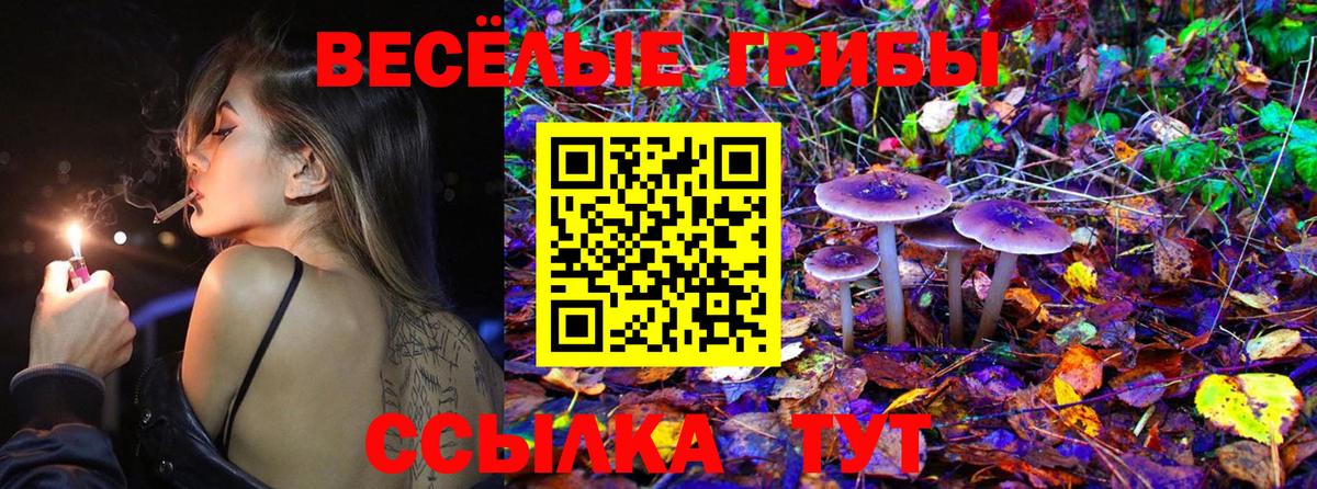 Галлюциногенные грибы MAGIC MUSHROOMS  Вход с VPN  Кудымкар  Галлюциногенные грибы ЛСД 